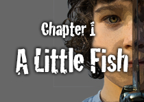 A Little Fish, Derek Fish and the Surprise, a Children's Book